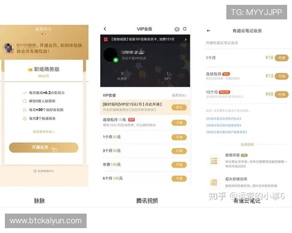 Kaiyun开云VIP会员续费指南帮助你轻松延长会员权益享受持续尊贵体验