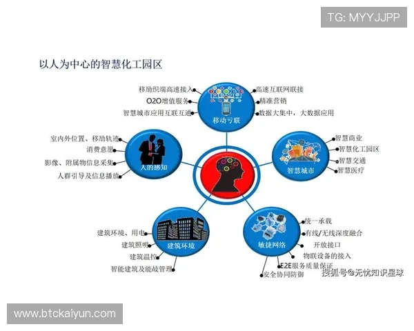 未来趋势：开云在线会议在智慧办公与数字化管理中的创新应用前景分析